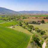  For Sale - (€ 0 / m2), Agricultural 2500 m2 Filippoi 8098997 thumb8