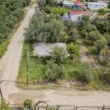  For Sale - (€ 0 / m2), Agricultural 1000 m2 Orfano 8099101 thumb2