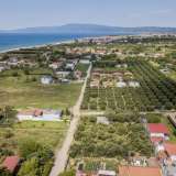  For Sale - (€ 0 / m2), Agricultural 1000 m2 Orfano 8099101 thumb5