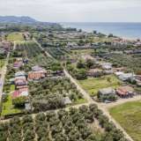  For Sale - (€ 0 / m2), Agricultural 1000 m2 Orfano 8099101 thumb9