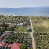  For Sale - (€ 0 / m2), Agricultural 1000 m2 Orfano 8099101 thumb7