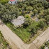  For Sale - (€ 0 / m2), Agricultural 1000 m2 Orfano 8099101 thumb0