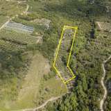  For Sale - (€ 0 / m2), Agricultural 3375 m2 Orfano 8099106 thumb0