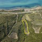  For Sale - (€ 0 / m2), Agricultural 3375 m2 Orfano 8099106 thumb3