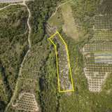  For Sale - (€ 0 / m2), Agricultural 3375 m2 Orfano 8099106 thumb2