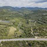  For Sale - (€ 0 / m2), Agricultural 3375 m2 Orfano 8099106 thumb8