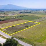  For Sale - (€ 0 / m2), Agricultural 10180 m2 Drama 8099122 thumb8