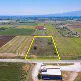 For Sale - (€ 0 / m2), Agricultural 10180 m2 Drama 8099122 thumb1