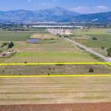  For Sale - (€ 0 / m2), Agricultural 10180 m2 Drama 8099122 thumb2