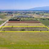  For Sale - (€ 0 / m2), Agricultural 10180 m2 Drama 8099122 thumb7