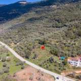  For Sale - (€ 0 / m2), Agricultural 2905.44 m2 Thasos 8099013 thumb5