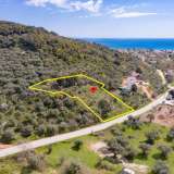  For Sale - (€ 0 / m2), Agricultural 2905.44 m2 Thasos 8099013 thumb0