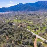  For Sale - (€ 0 / m2), Agricultural 2905.44 m2 Thasos 8099013 thumb3