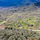  For Sale - (€ 0 / m2), Agricultural 2905.44 m2 Thasos 8099013 thumb8
