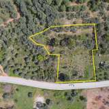  For Sale - (€ 0 / m2), Agricultural 2905.44 m2 Thasos 8099013 thumb4