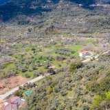  For Sale - (€ 0 / m2), Agricultural 2905.44 m2 Thasos 8099013 thumb9