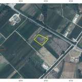  For Sale - (€ 0 / m2), Agricultural 7688 m2 Chrisoupoli 8099149 thumb2