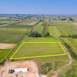  For Sale - (€ 0 / m2), Agricultural 7688 m2 Chrisoupoli 8099149 thumb5