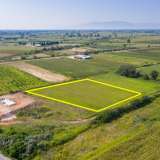  For Sale - (€ 0 / m2), Agricultural 7688 m2 Chrisoupoli 8099149 thumb3
