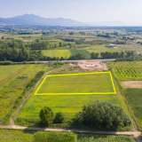  For Sale - (€ 0 / m2), Agricultural 7688 m2 Chrisoupoli 8099149 thumb7