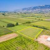  For Sale - (€ 0 / m2), Agricultural 7688 m2 Chrisoupoli 8099149 thumb9