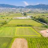  For Sale - (€ 0 / m2), Agricultural 7688 m2 Chrisoupoli 8099149 thumb0