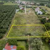  For Sale - (€ 0 / m2), Agricultural 1000 m2 Orfano 8099152 thumb3