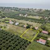  For Sale - (€ 0 / m2), Agricultural 1000 m2 Orfano 8099152 thumb4