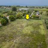  For Sale - (€ 0 / m2), Agricultural 1000 m2 Orfano 8099152 thumb2