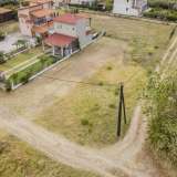  For Sale - (€ 0 / m2), Agricultural 350 m2 Orfano 8099153 thumb2