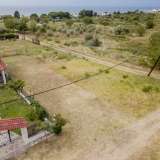  For Sale - (€ 0 / m2), Agricultural 350 m2 Orfano 8099153 thumb0