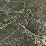  For Sale - (€ 0 / m2), Agricultural 7200 m2 Thasos 8099177 thumb3