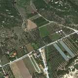  For Sale - (€ 0 / m2), Agricultural 2040 m2 Eleftheres 8099180 thumb2