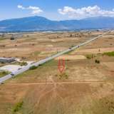  For Sale - (€ 0 / m2), Agricultural 5500 m2 Drama 8099019 thumb1