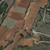  For Sale - (€ 0 / m2), Agricultural 5166 m2 Drama 8099020 thumb6