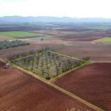  For Sale - (€ 0 / m2), Agricultural 5363 m2 Filippoi 8099217 thumb9