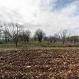 For Sale - (€ 0 / m2), Agricultural 5363 m2 Filippoi 8099217 thumb3