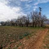  For Sale - (€ 0 / m2), Agricultural 5363 m2 Filippoi 8099217 thumb0