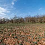  For Sale - (€ 0 / m2), Agricultural 5363 m2 Filippoi 8099217 thumb7