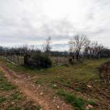  For Sale - (€ 0 / m2), Agricultural 5363 m2 Filippoi 8099217 thumb5