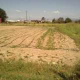  For Sale - (€ 0 / m2), Agricultural 6930 m2 Eleftheroupoli 8099220 thumb5