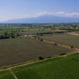  For Sale - (€ 0 / m2), Agricultural 12470 m2 Drama 8099239 thumb4