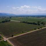  For Sale - (€ 0 / m2), Agricultural 12470 m2 Drama 8099239 thumb3