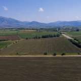  For Sale - (€ 0 / m2), Agricultural 12470 m2 Drama 8099239 thumb2