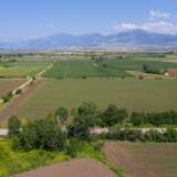  For Sale - (€ 0 / m2), Agricultural 12470 m2 Drama 8099239 thumb6