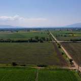  For Sale - (€ 0 / m2), Agricultural 12470 m2 Drama 8099239 thumb5
