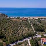  For Sale - (€ 0 / m2), Agricultural 4556 m2 Thasos 8099246 thumb4