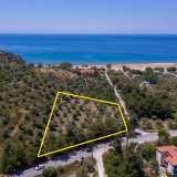  For Sale - (€ 0 / m2), Agricultural 4556 m2 Thasos 8099246 thumb0