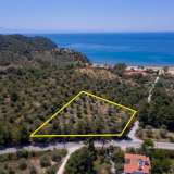  For Sale - (€ 0 / m2), Agricultural 4556 m2 Thasos 8099246 thumb3