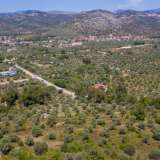  For Sale - (€ 0 / m2), Agricultural 4556 m2 Thasos 8099246 thumb7